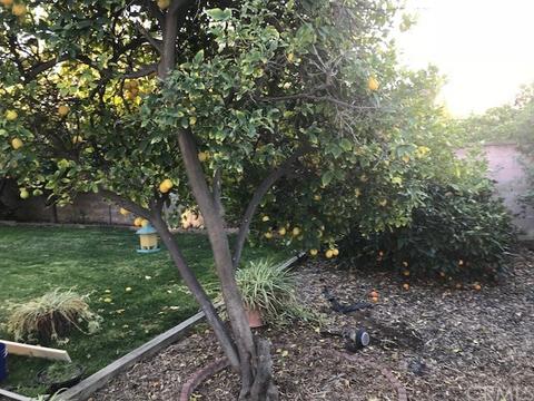 2818 Jane St, Riverside, CA 92506 photo 29