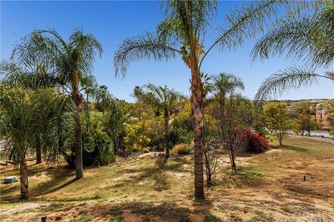 1320 Coronet Dr, Riverside, CA 92506 photo 57
