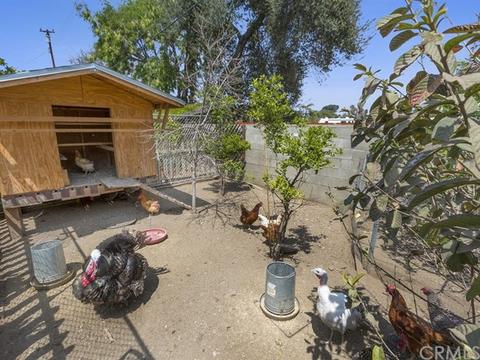 12635 Farndon Ave, Chino, CA 91710 photo 31