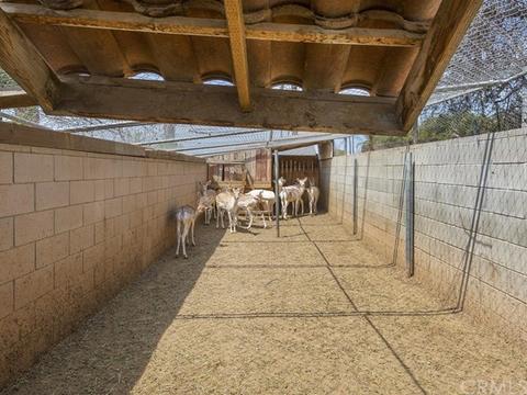 12635 Farndon Ave, Chino, CA 91710 photo 32