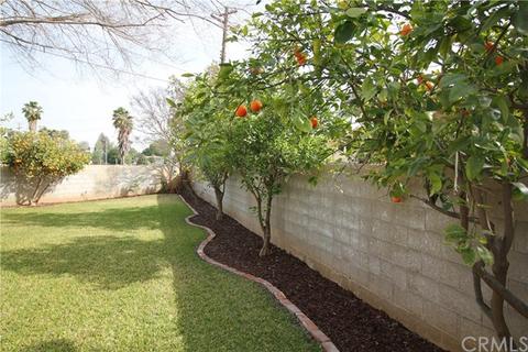10648 Young St, Riverside, CA 92505 photo 38