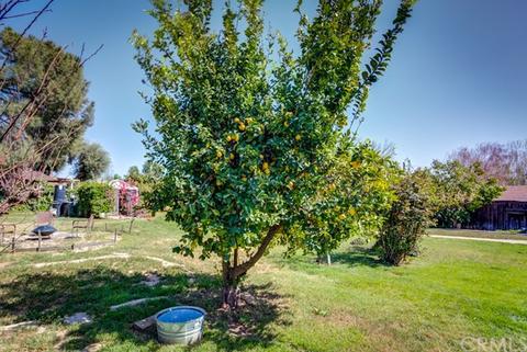 12819 Columbia Ave, Yucaipa, CA 92399 photo 4