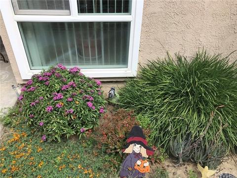 13050 Raintree Pl, Chino, CA 91710 photo 12
