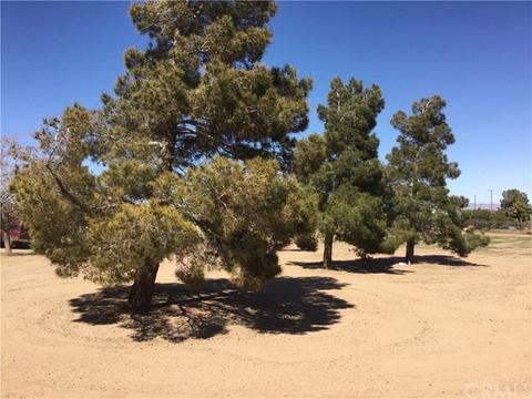 9235 Atsina Rd, Phelan, CA 92371 photo 28