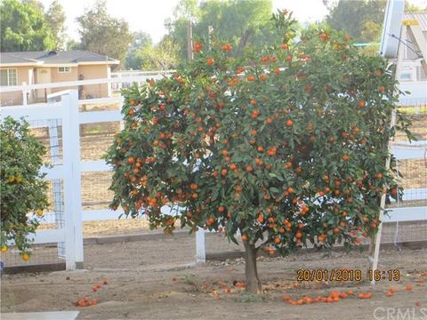 20155 Jefferson Ave, Perris, CA 92570 photo 26