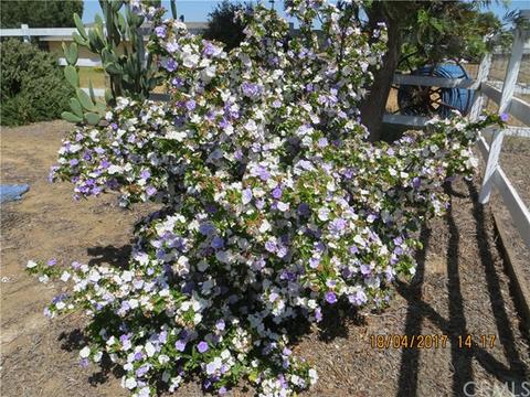 20155 Jefferson Ave, Perris, CA 92570 photo 15