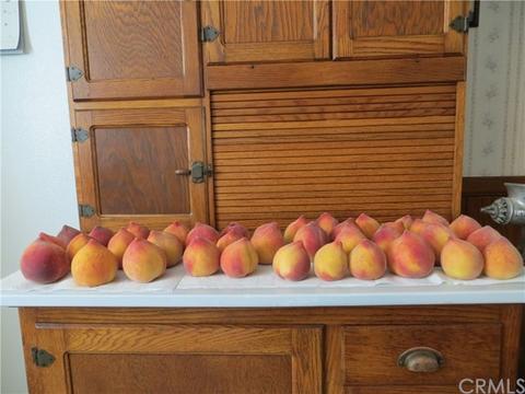 20155 Jefferson Ave, Perris, CA 92570 photo 14