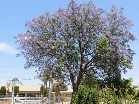 20155 Jefferson Ave, Perris, CA 92570 photo 17