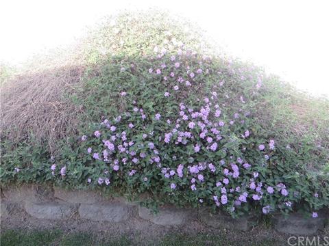 140 W Pioneer Ave #86, Redlands, CA 92374 photo 20