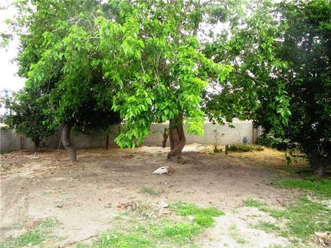 1439 Vine St, San Bernardino, CA 92411 photo 27