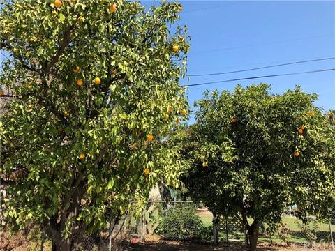 7555 Mount Vernon St, Riverside, CA 92504 photo 12