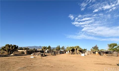 10176 Chaparral Rd, Phelan, CA 92371 photo 17