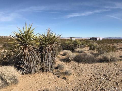 60767 Sonora Rd, Joshua Tree, CA 92252 photo 15