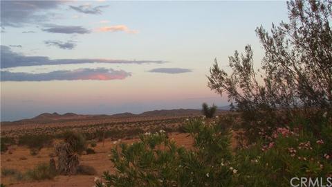 56789 Handley Rd, Yucca Valley, CA 92284 photo 67