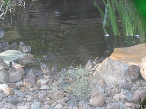 56789 Handley Rd, Yucca Valley, CA 92284 photo 63