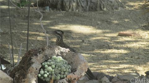 56789 Handley Rd, Yucca Valley, CA 92284 photo 65