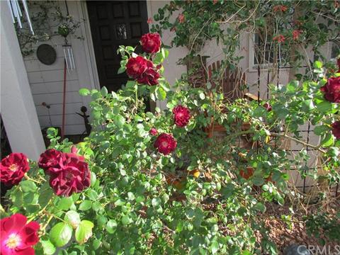56789 Handley Rd, Yucca Valley, CA 92284 photo 62