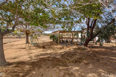 56789 Handley Rd, Yucca Valley, CA 92284 photo 57