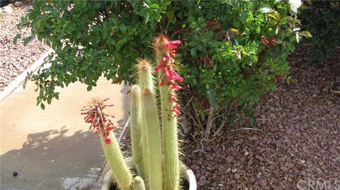 56789 Handley Rd, Yucca Valley, CA 92284 photo 72