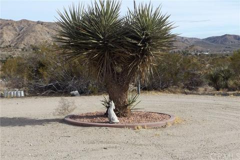 51171 Apache, Morongo Valley, CA 92256 photo 12