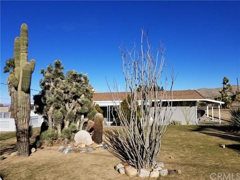 8334 Palomar Ave, Yucca Valley, CA 92284 photo 5