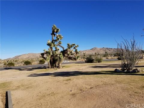 8334 Palomar Ave, Yucca Valley, CA 92284 photo 12