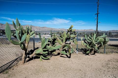 7718 Palm Ave, Yucca Valley, CA 92284 photo 11
