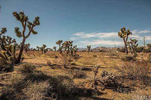 7718 Palm Ave, Yucca Valley, CA 92284 photo 19