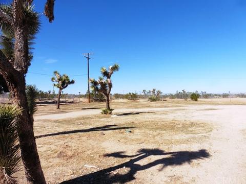 57762 Belmont St, Yucca Valley, CA 92284 photo 3