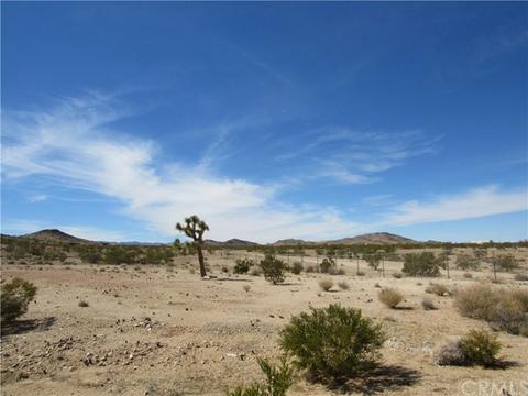 1725 Starfire Dr, Joshua Tree, CA 92252 photo 15