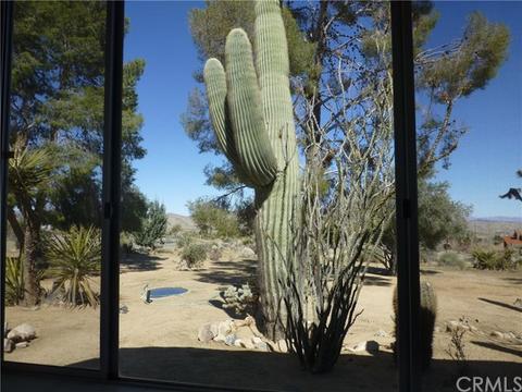 7449 Juniper Rd, Joshua Tree, CA 92252 photo 11