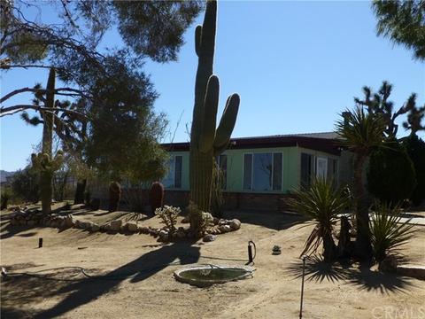7449 Juniper Rd, Joshua Tree, CA 92252 photo 3