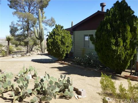 7449 Juniper Rd, Joshua Tree, CA 92252 photo 9