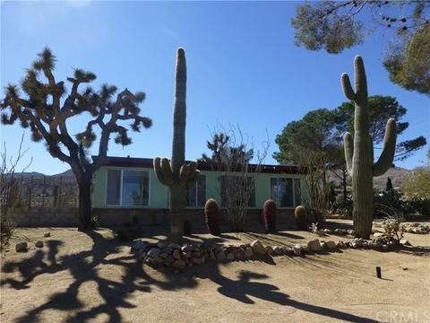 7449 Juniper Rd, Joshua Tree, CA 92252 photo 4