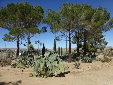 7449 Juniper Rd, Joshua Tree, CA 92252 photo 8