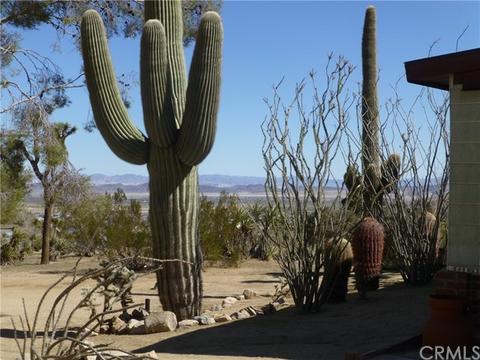 7449 Juniper Rd, Joshua Tree, CA 92252 photo 2