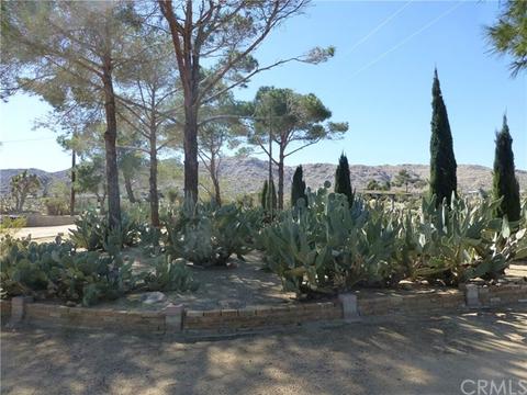 7449 Juniper Rd, Joshua Tree, CA 92252 photo 7