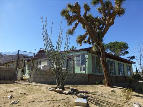 7449 Juniper Rd, Joshua Tree, CA 92252 photo 6