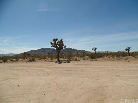 60388 Cielito Dr, Joshua Tree, CA 92252 photo 13
