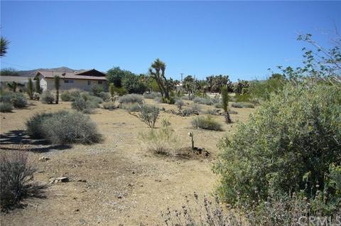 7737 Barberry Ave, Yucca Valley, CA 92284 photo 42