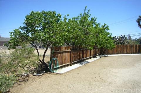 7737 Barberry Ave, Yucca Valley, CA 92284 photo 25