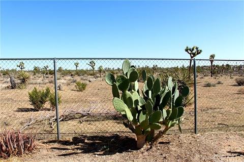 58610 Mesa Dr, Yucca Valley, CA 92284 photo 6