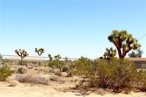 58610 Mesa Dr, Yucca Valley, CA 92284 photo 40