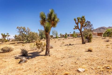 60720 Melton, Joshua Tree, CA 92252 photo 29