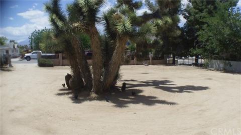 7613 Apache, Yucca Valley, CA 92284 photo 23
