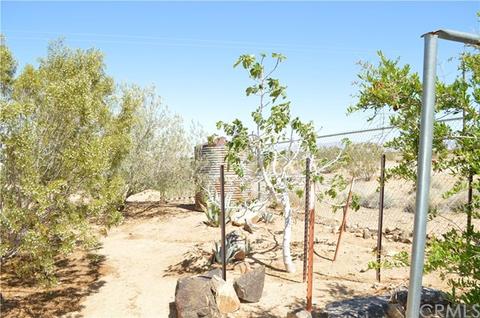 1776 Starfire, Joshua Tree, CA 92252 photo 5
