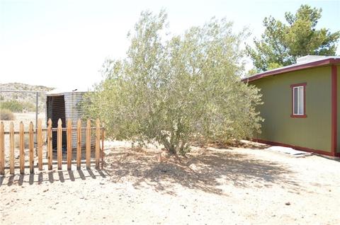 1776 Starfire, Joshua Tree, CA 92252 photo 4