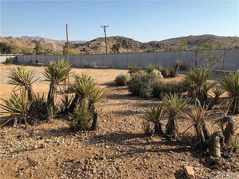 5275 Olympic Rd, Joshua Tree, CA 92252 photo 15