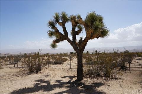 62315 Aberdeen Dr, Joshua Tree, CA 92252 photo 20