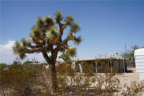 62315 Aberdeen Dr, Joshua Tree, CA 92252 photo 22